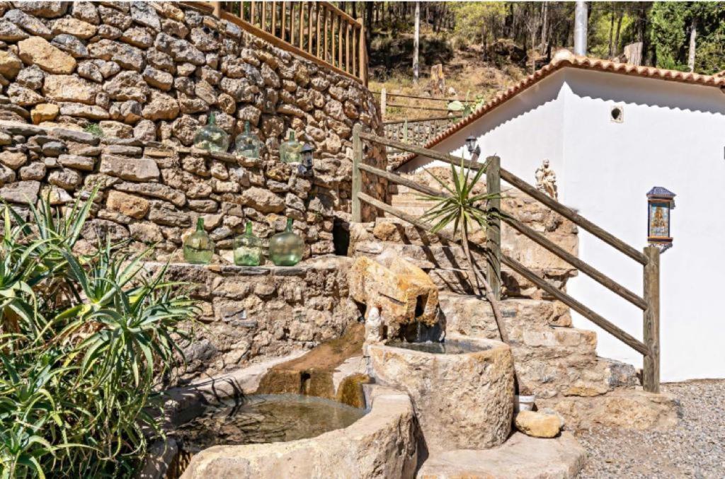 劳约德安达拉克Molino Del Nacimiento别墅 外观 照片
